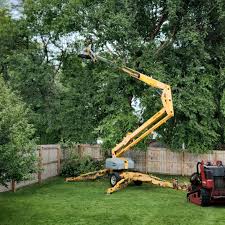 Best Hazardous Tree Removal  in Leonard, TX
